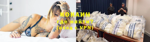 дмт Богородицк