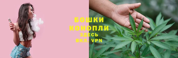 экстази Богданович