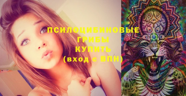 a pvp Богородск