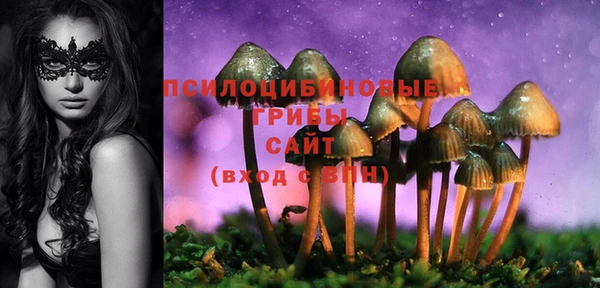 экстази Богданович