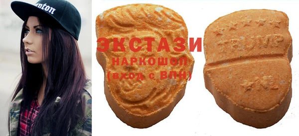 дмт Богородицк